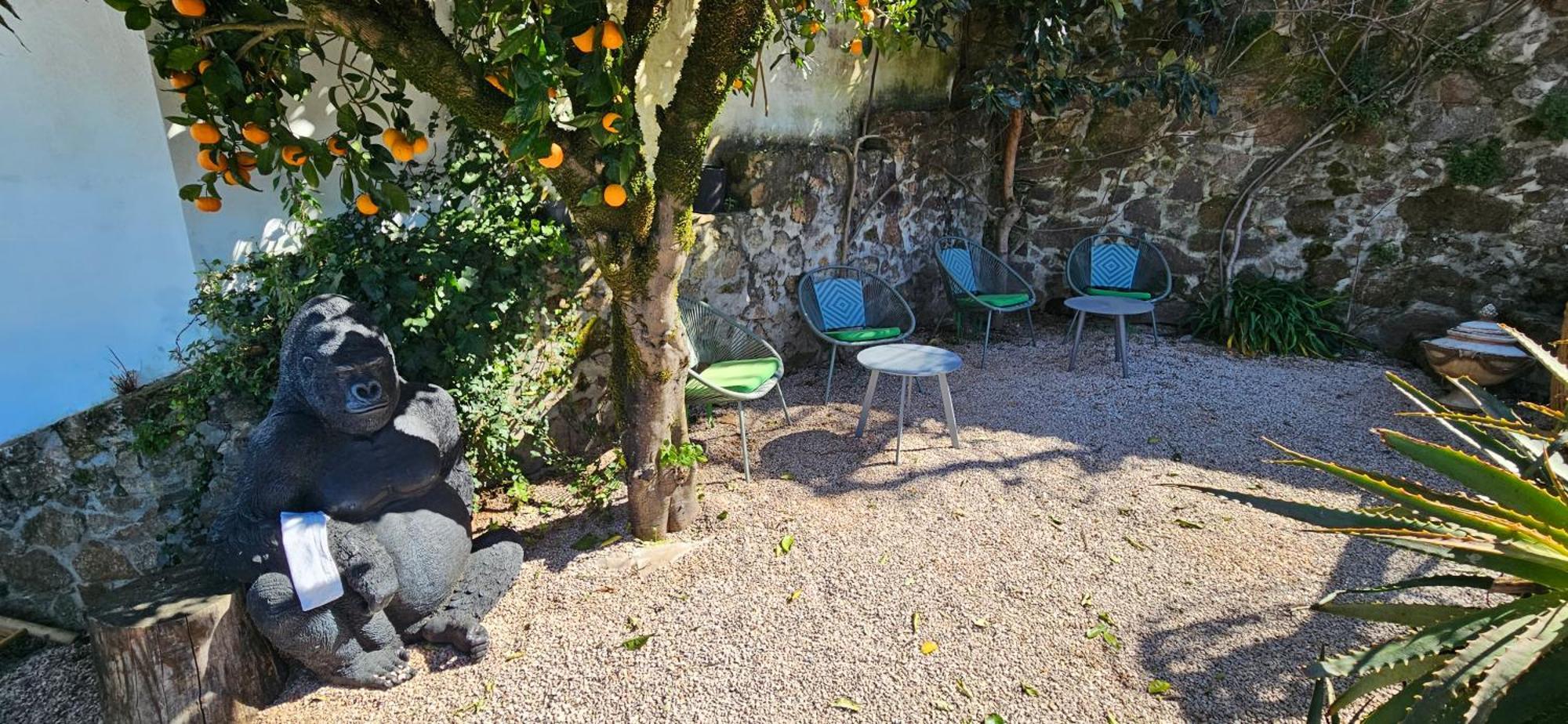 Casa Belavista Penela - Charming Guest House - Adults Only Eksteriør billede